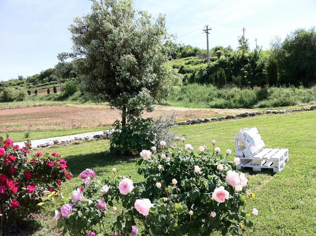 Corte Monticello Διαμέρισμα Barbarano Vicentino Εξωτερικό φωτογραφία