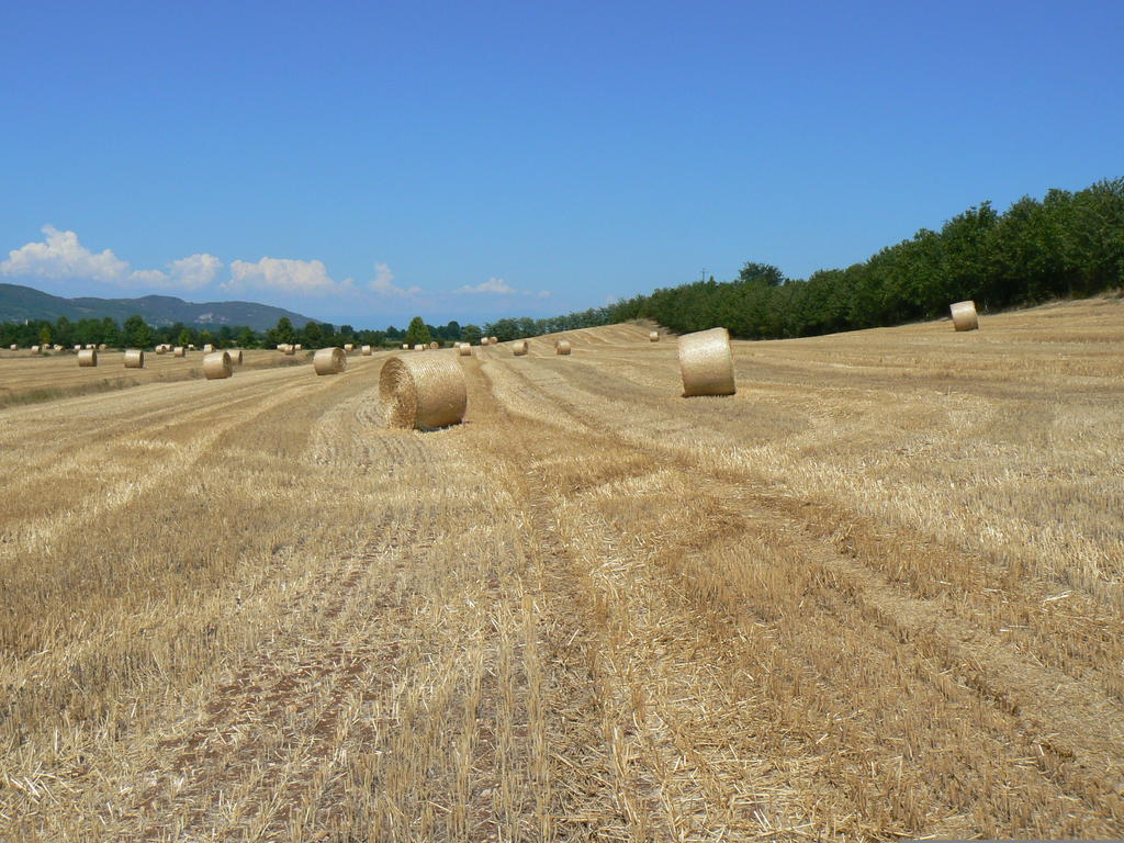 Corte Monticello Διαμέρισμα Barbarano Vicentino Εξωτερικό φωτογραφία